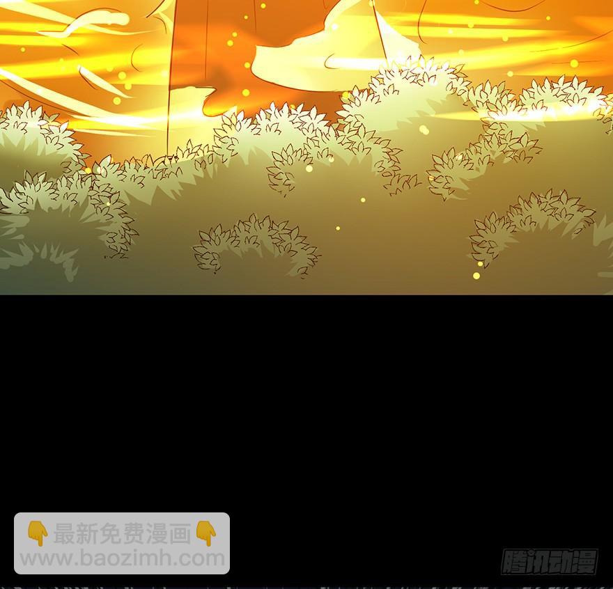 佳人何来？奈何非人(1/2)-第66话