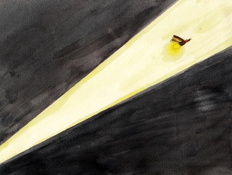 默魚繪本集 - 長篇－天台上的螢火蟲－精選1 - 5