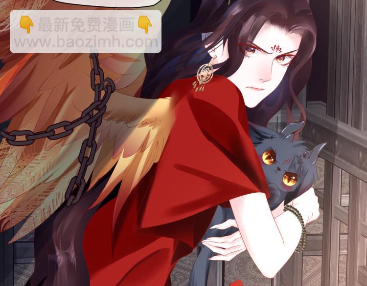 魔尊要抱抱 - 第15話 地下拍賣場(1/4) - 2