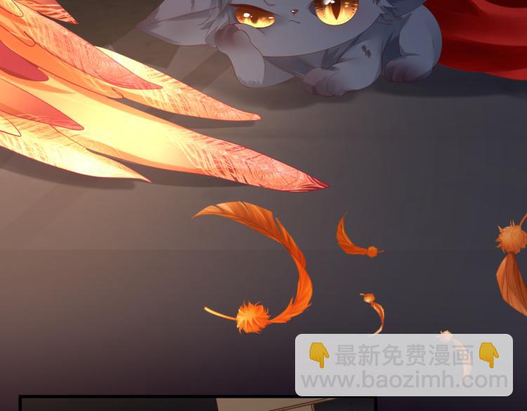 魔尊要抱抱 - 第15話 地下拍賣場(1/4) - 5