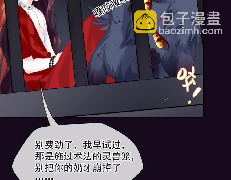 魔尊要抱抱 - 第15話 地下拍賣場(1/4) - 3