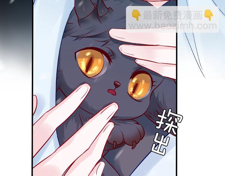 魔尊要抱抱 - 第20話 銀龍毒計(3/4) - 1