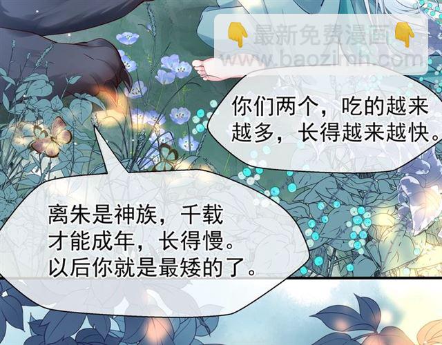 魔尊要抱抱 - 第41話 我們的初逢(3/4) - 6