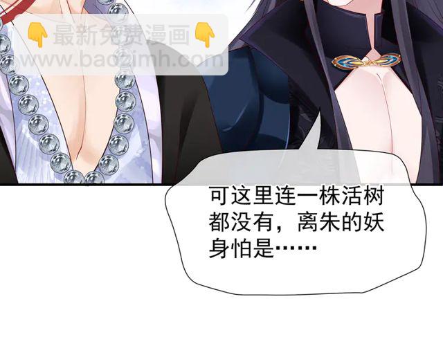 魔尊要抱抱 - 第49話 母親(2/4) - 7