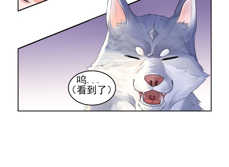 第3话  大帅的主人(1/3)-第4话