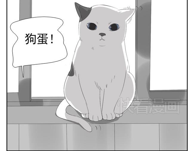 第6话 人类太暴力了！(1/2)-第6话