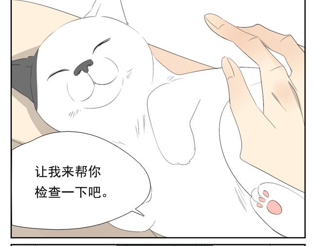 第6话 人类太暴力了！(1/2)-第6话