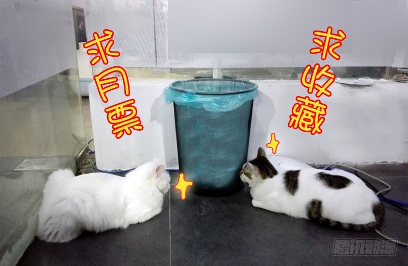 39女儿家的事（下）-第40话