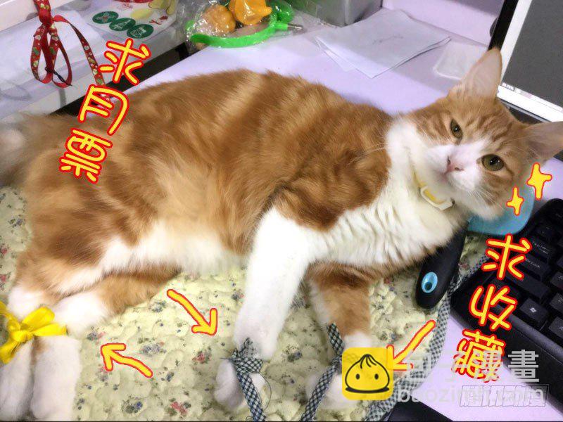 41木兰的新烦恼（中）-第42话