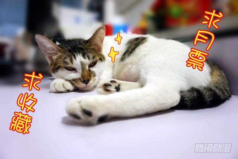 43第一位火伴（一）-第44话