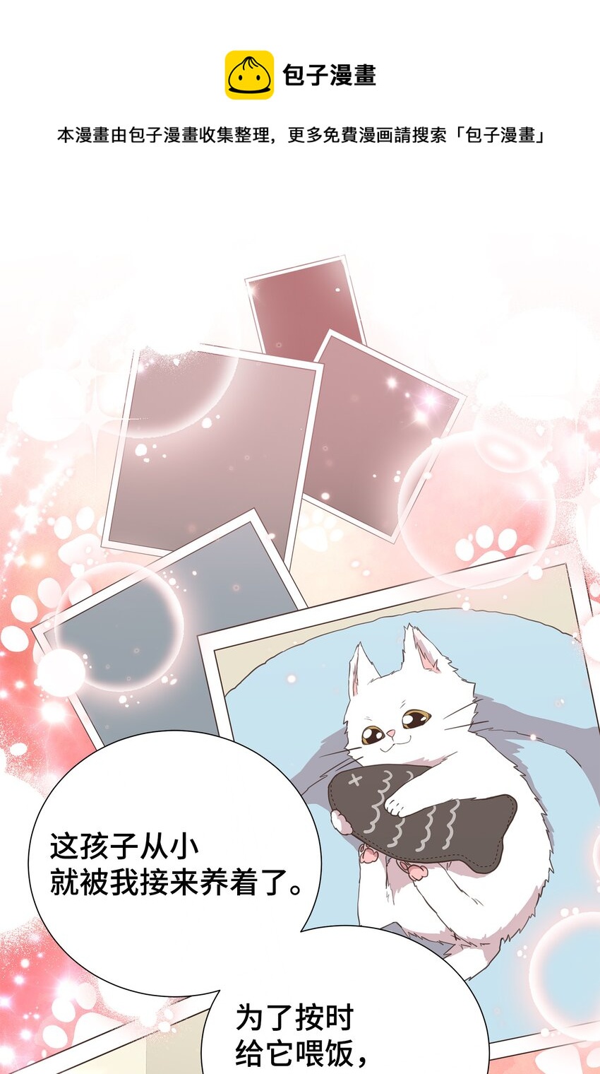 28 暗处的镜头(1/2)-第28话