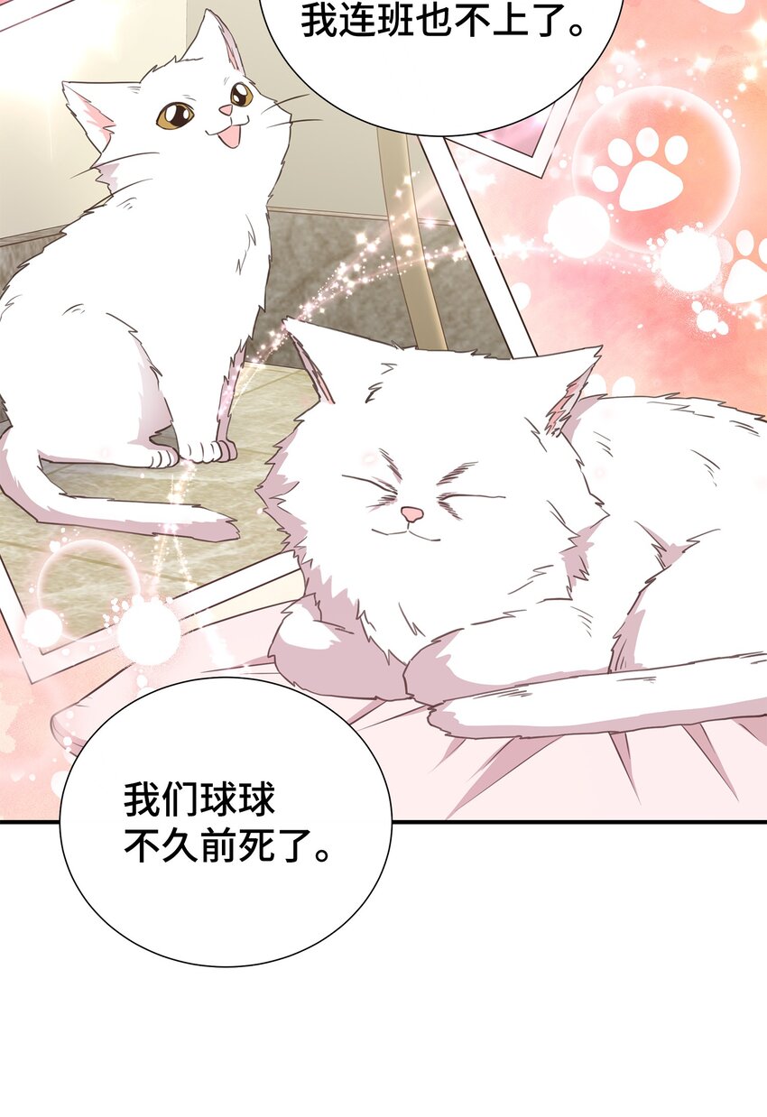 28 暗处的镜头(1/2)-第28话