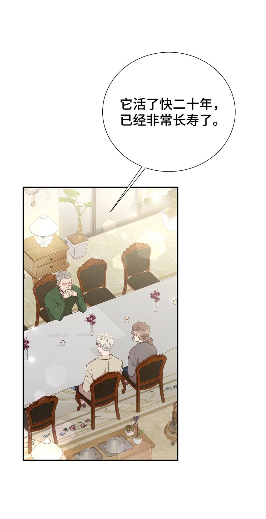 28 暗处的镜头(1/2)-第28话