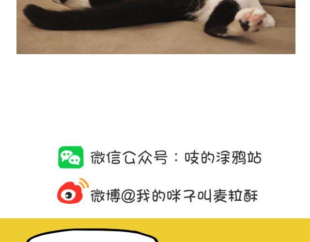 第16话 小金库-第16话