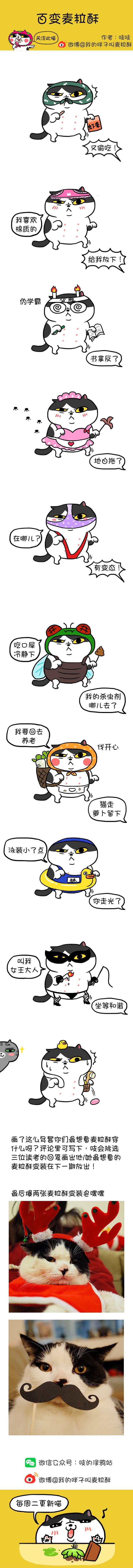 第16话 小金库-第16话