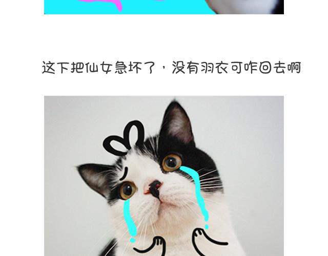 第18话 七仙女-第18话