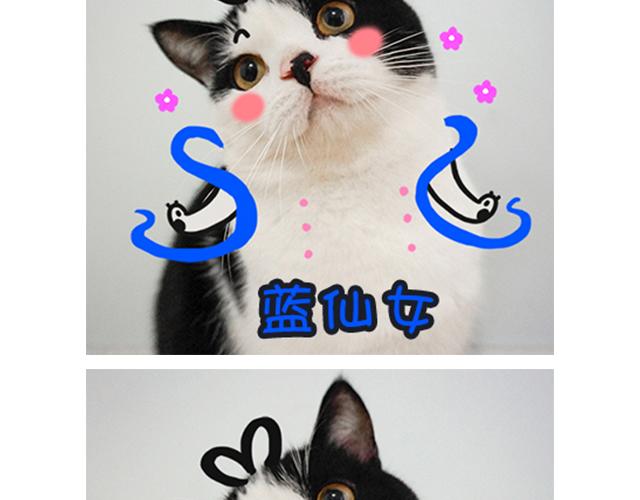 第18话 七仙女-第18话