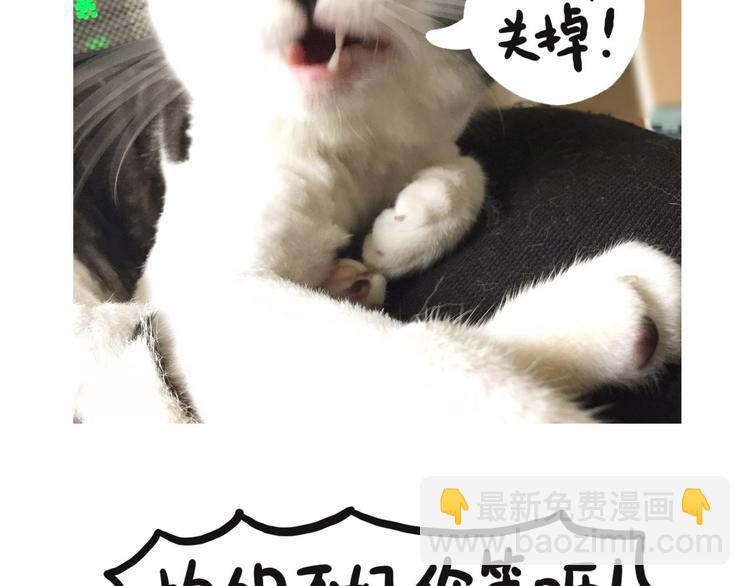 第22话 拍照-第22话