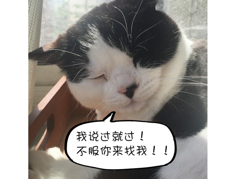 第26话 鸡血贴-第26话