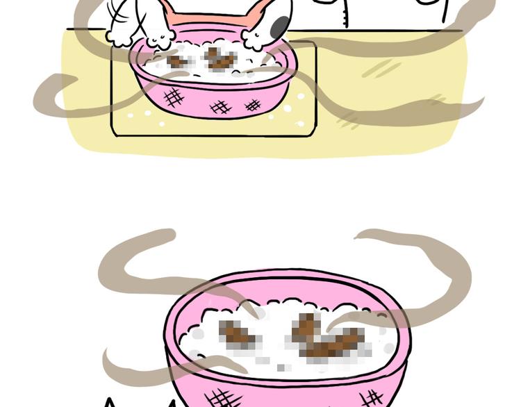 奶牛貓麥粒酥的日常 - 第27話 淘米 - 2