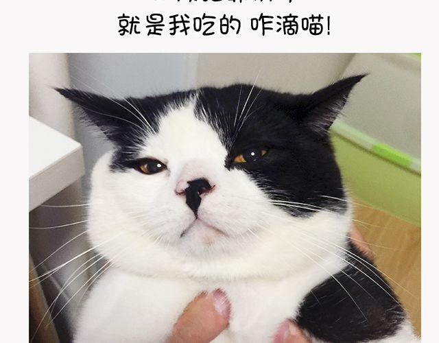 第6话 多肉植物-第6话