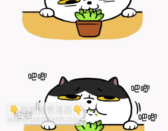 第6话 多肉植物-第6话