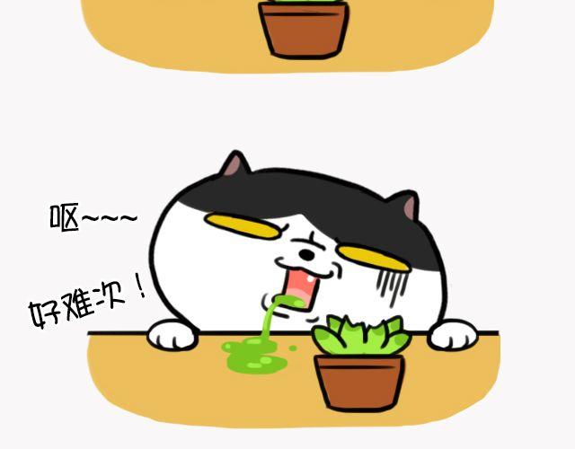 第6话 多肉植物-第6话