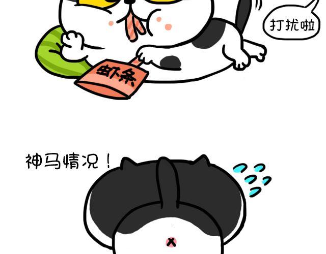 第8话 来客人了-第8话