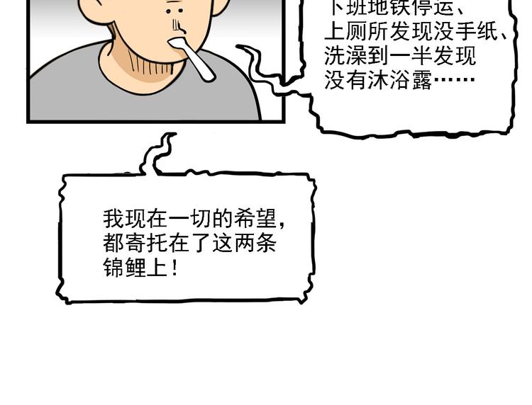 第2碗 锦鲤(1/2)-第2话