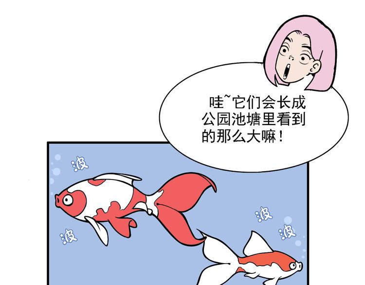 第2碗 锦鲤(1/2)-第2话