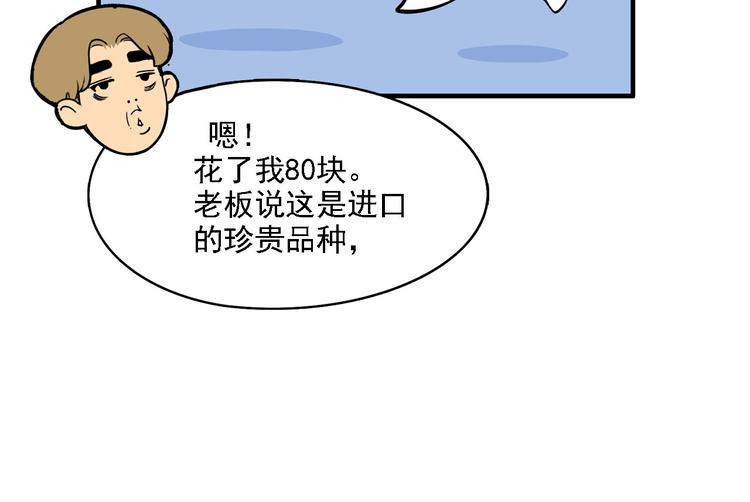 第2碗 锦鲤(1/2)-第2话