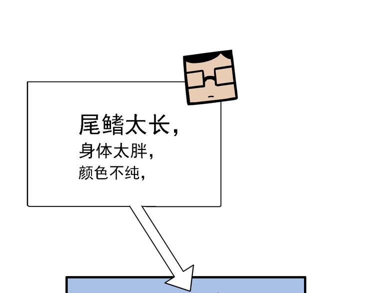 第2碗 锦鲤(1/2)-第2话