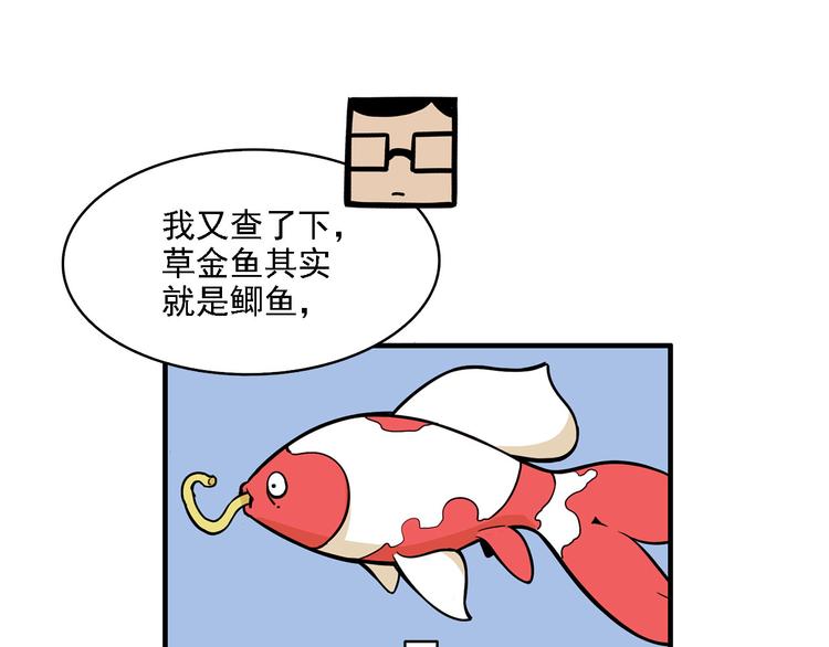 第2碗 锦鲤(1/2)-第2话