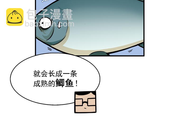 第2碗 锦鲤(1/2)-第2话