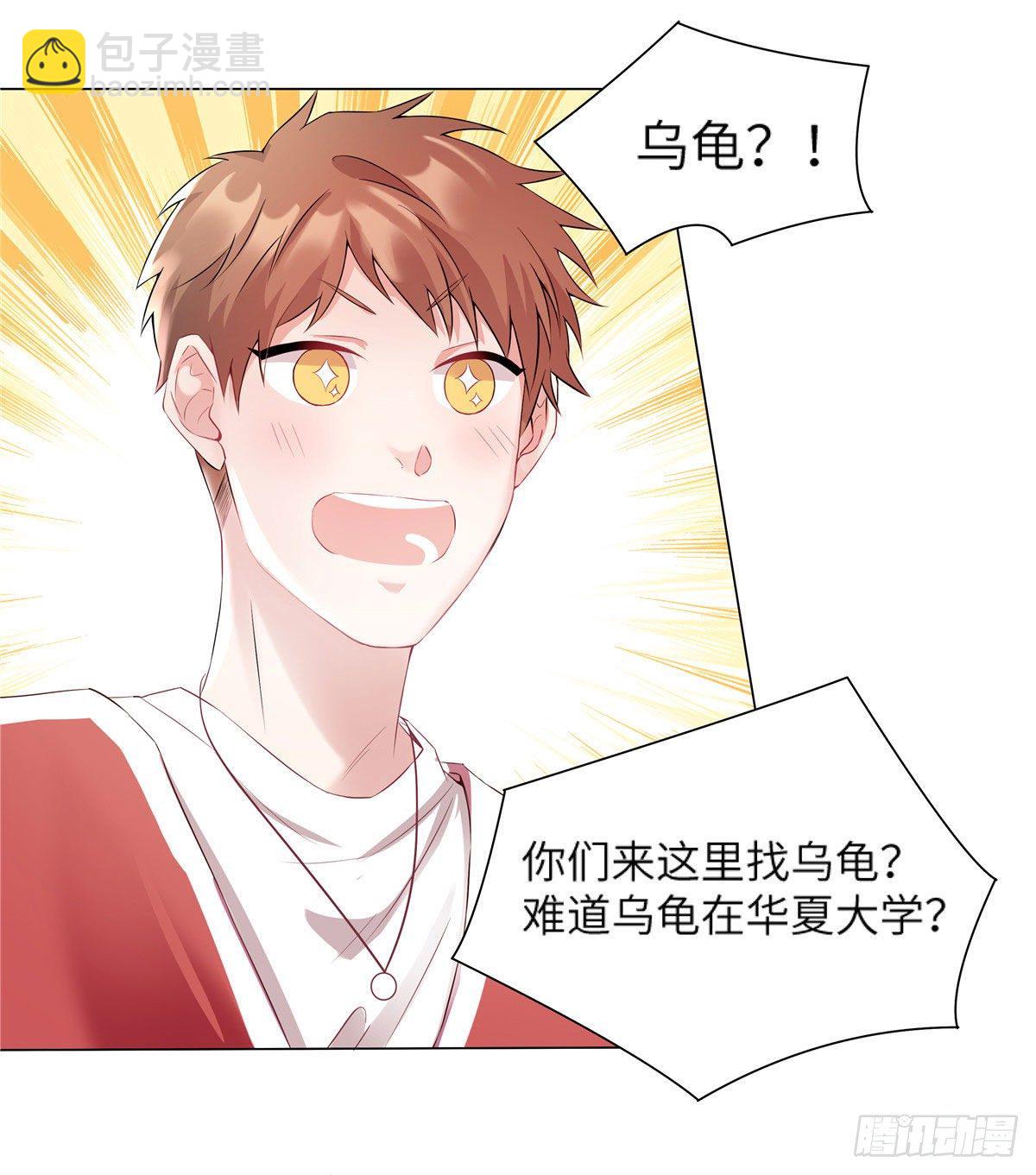 34 真的请来了乌龟？-第34话