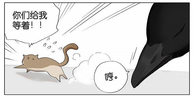 南方的鸟和北方的鸟-第2话