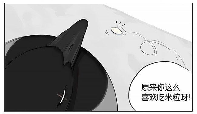 南方的鸟和北方的鸟-第2话