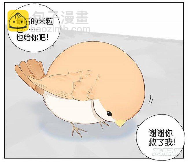 南方的鳥和北方的鳥 - 南方的鳥和北方的鳥 - 3