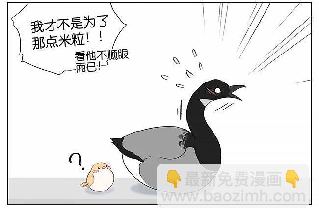 南方的鳥和北方的鳥 - 南方的鳥和北方的鳥 - 1