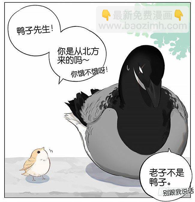 南方的鳥和北方的鳥 - 南方的鳥和北方的鳥 - 2