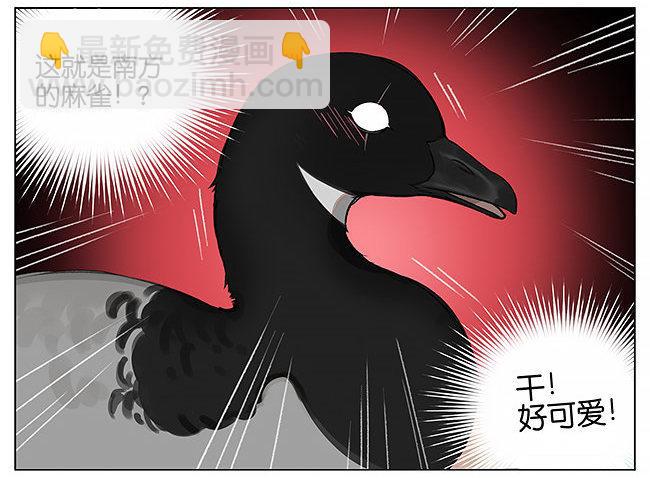 南方的鸟和北方的鸟-第2话