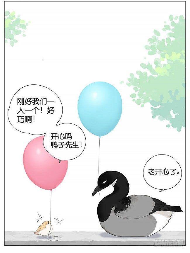 南方的鳥和北方的鳥 - 氣球。 - 2