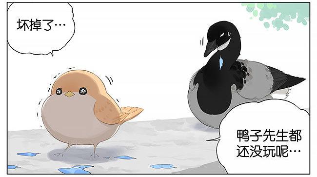 南方的鳥和北方的鳥 - 氣球。 - 1