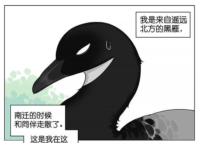 人类好可爱。-第16话