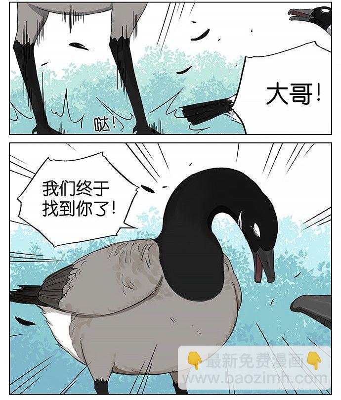 南方的鳥和北方的鳥 - 回北方。 - 3