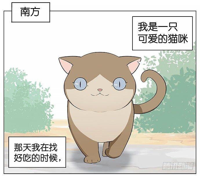 可爱的猫咪。-第22话