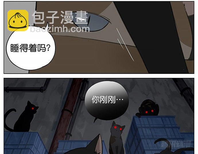 可爱的猫咪。-第22话