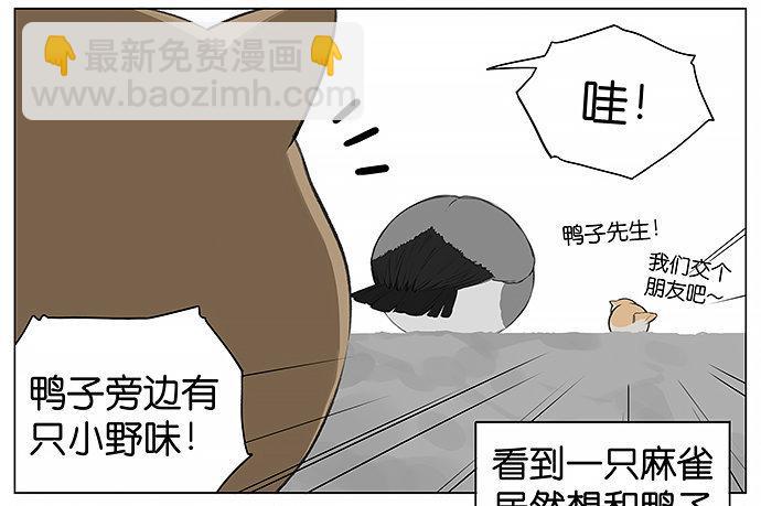 可爱的猫咪。-第22话