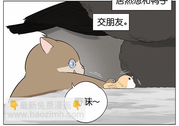 可爱的猫咪。-第22话