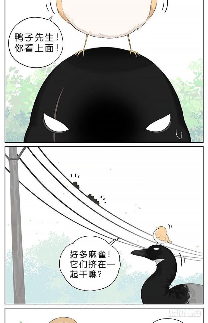 冬天相互取暖的鸟。-第24话